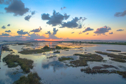 沙湖生态旅游区