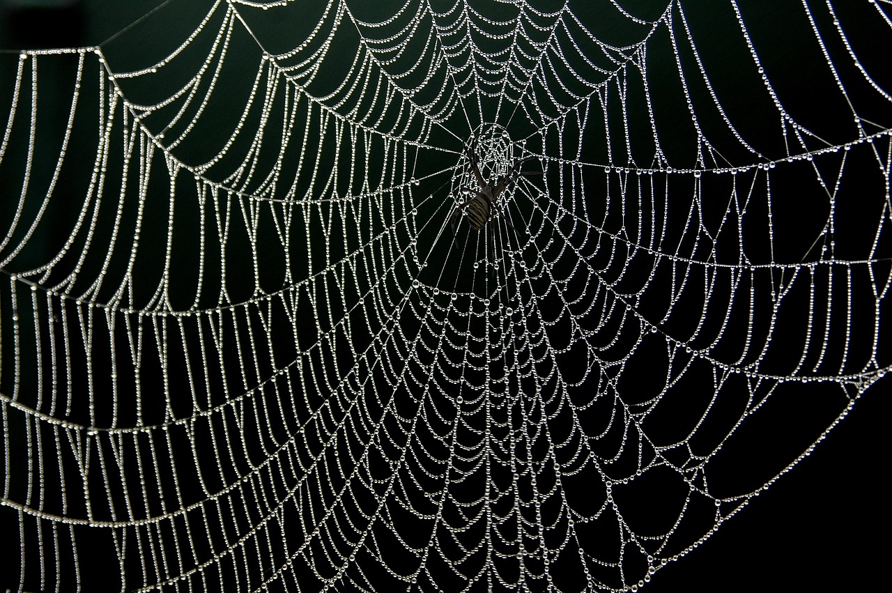 Spider Web 1.21