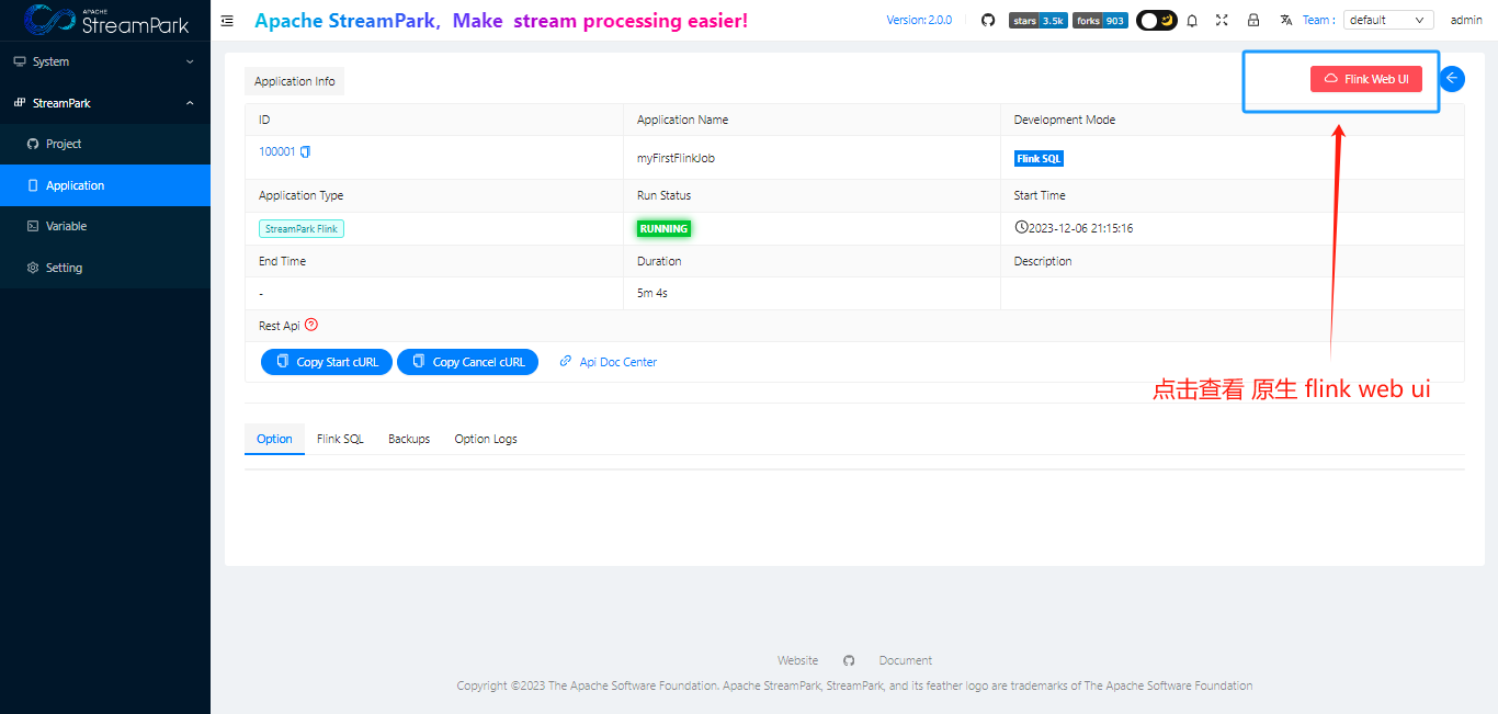 26_display_native_flink_job_web_ui