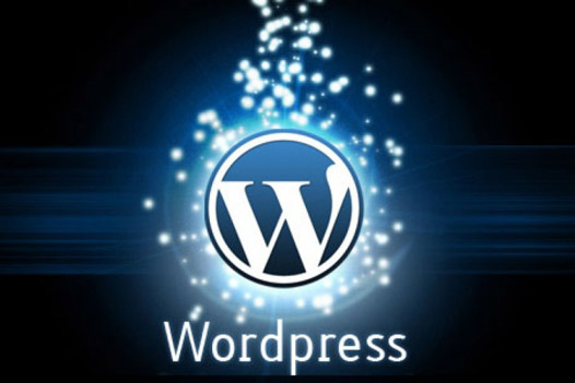 WordPress清理数据库冗余数据加速网站运行速度-执笔博客