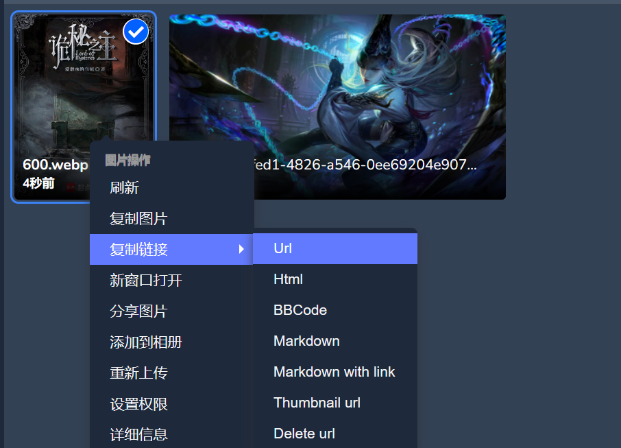 image-20240509020222854