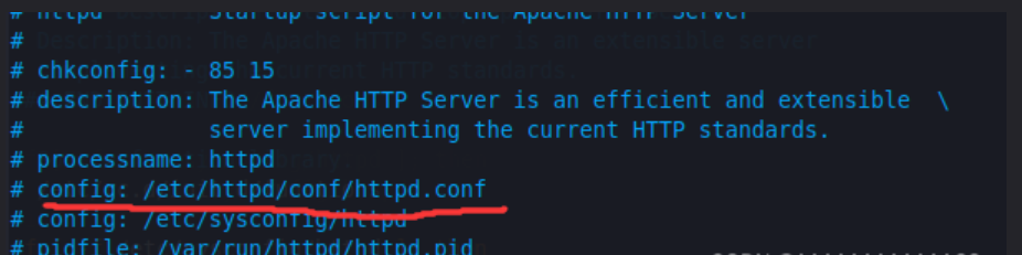 image-20240309215530002