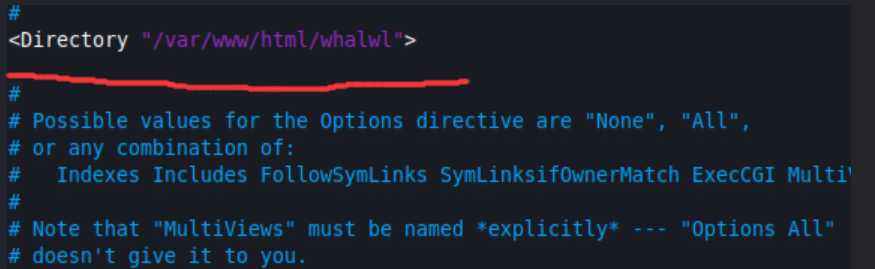 image-20240309215547389