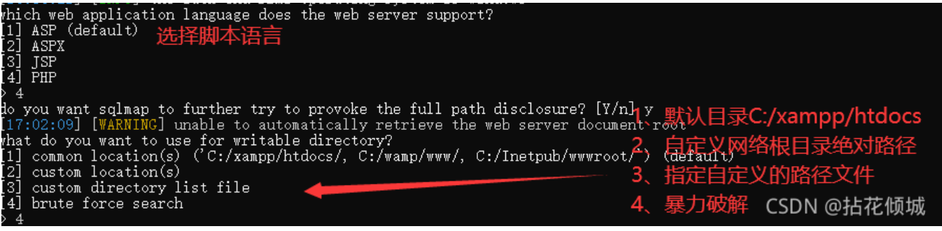 image-20240309203114502