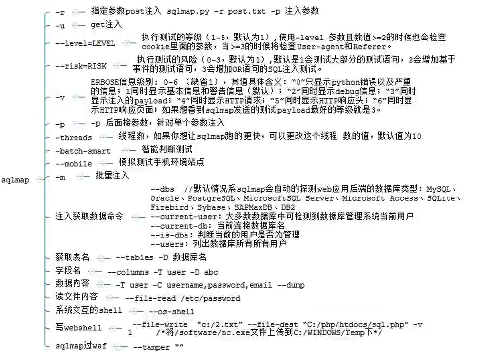 image-20240309190754619