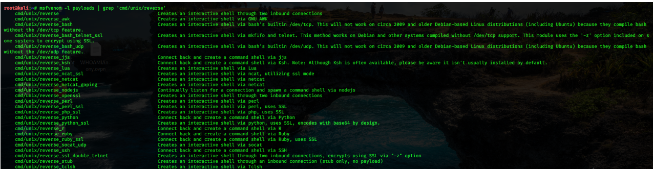 image-20240407202206782