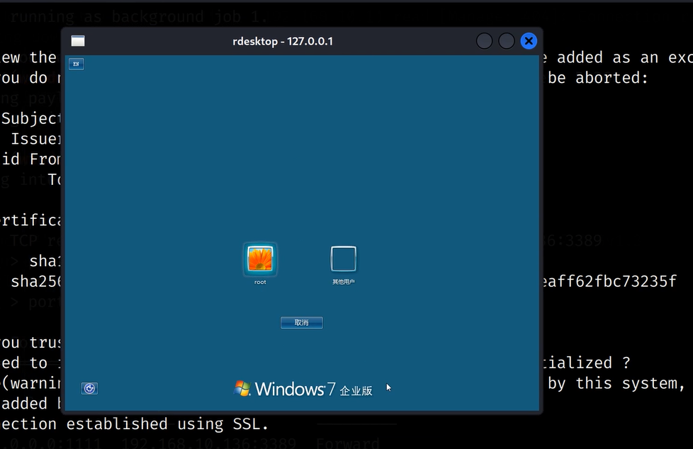 image-20240821180913147