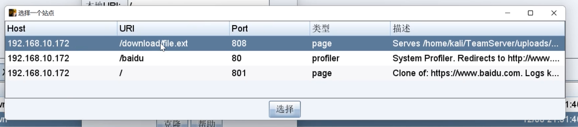 image-20240821182805525