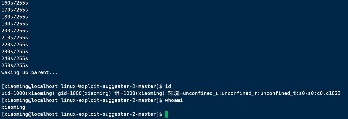 image-20240823235308809