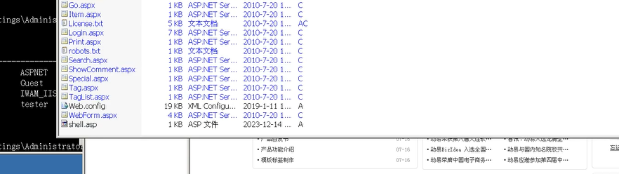 image-20240825002649952