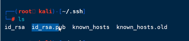 image-20240909212445836