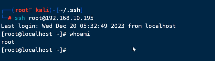 image-20240909212902504