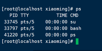 image-20240910181059023