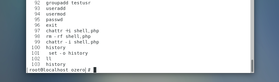 image-20240909125812282