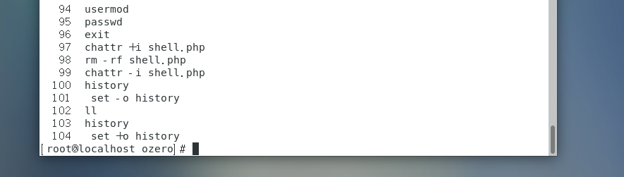 image-20240909125147820