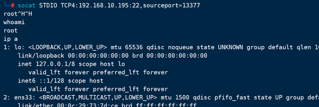 image-20240909214616175