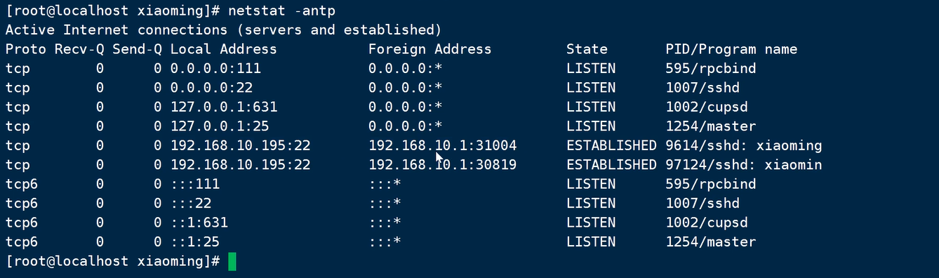 image-20240910181635268