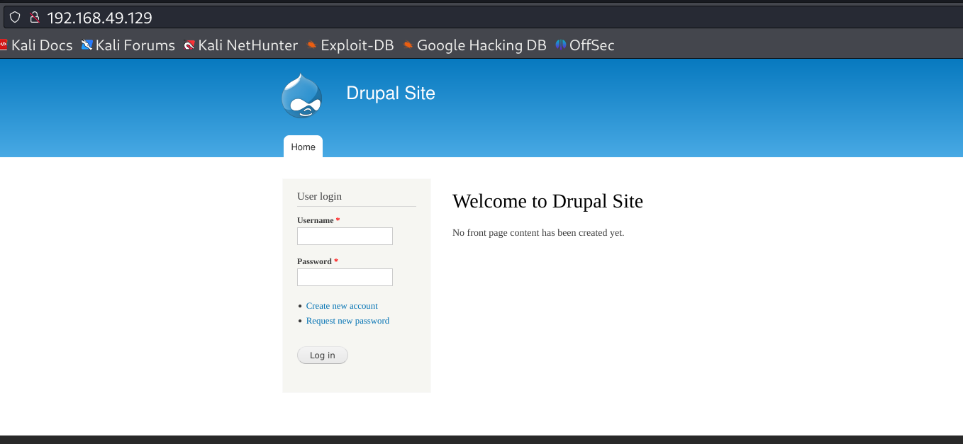 image-20240821220542076