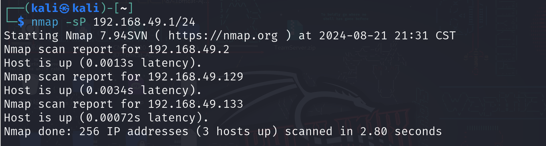 image-20240821213646806