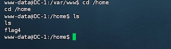 image-20240825204459540