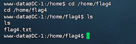 image-20240825204752783