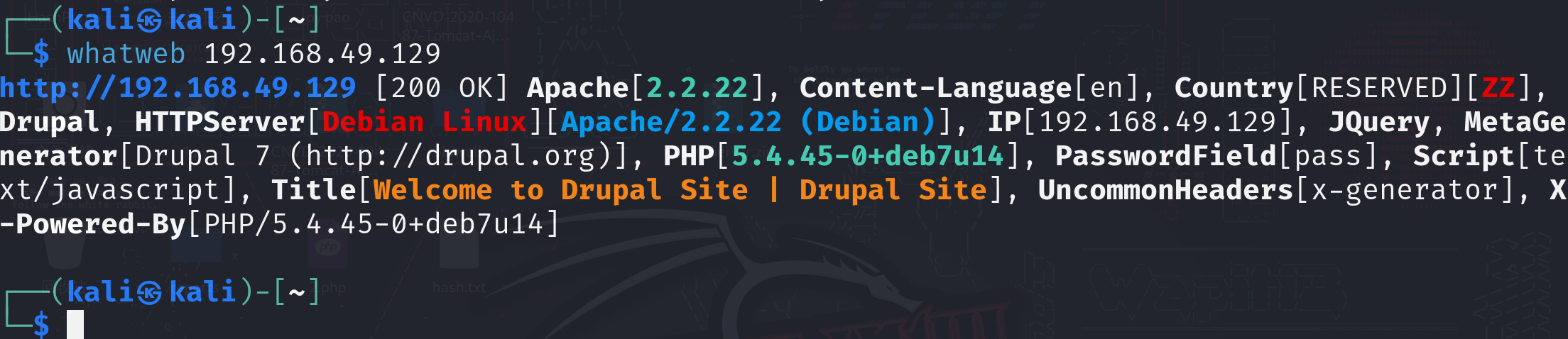 image-20240821222918054