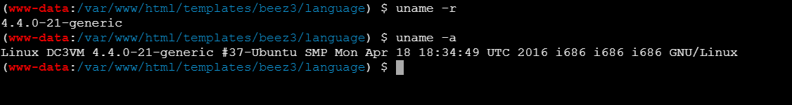 image-20240826193238343