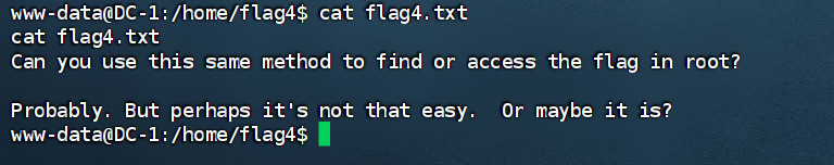 image-20240825204910890