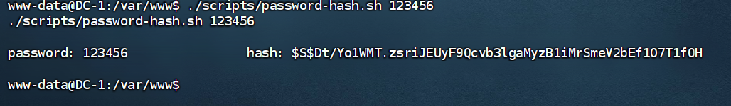 image-20240825202156575