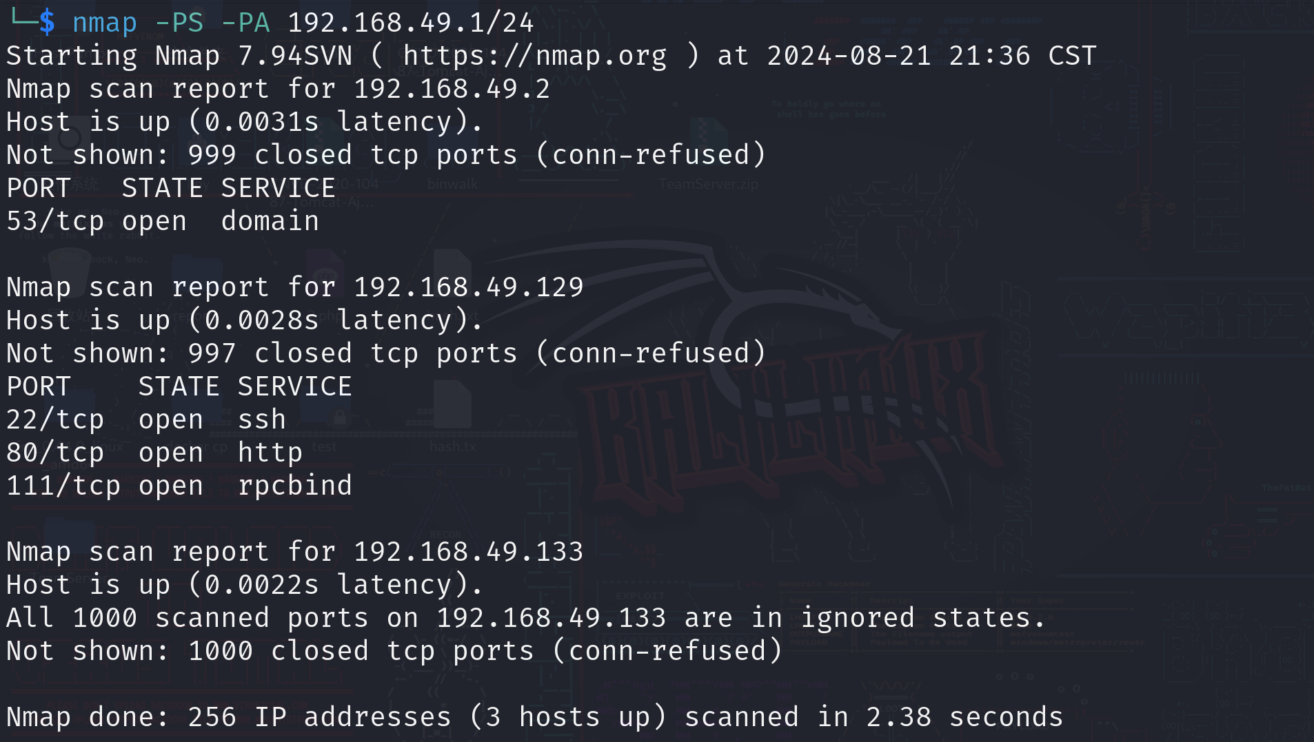 image-20240821213731107