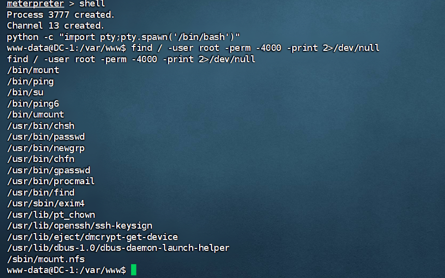 image-20240825213634778