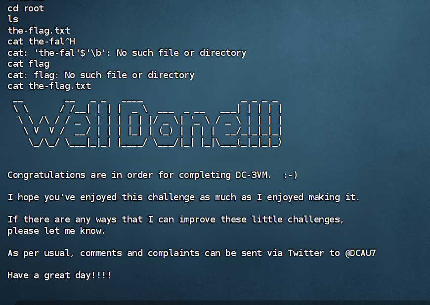 image-20240827004816423