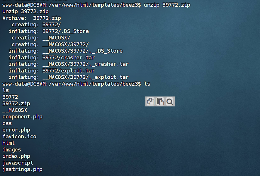 image-20240827004343968