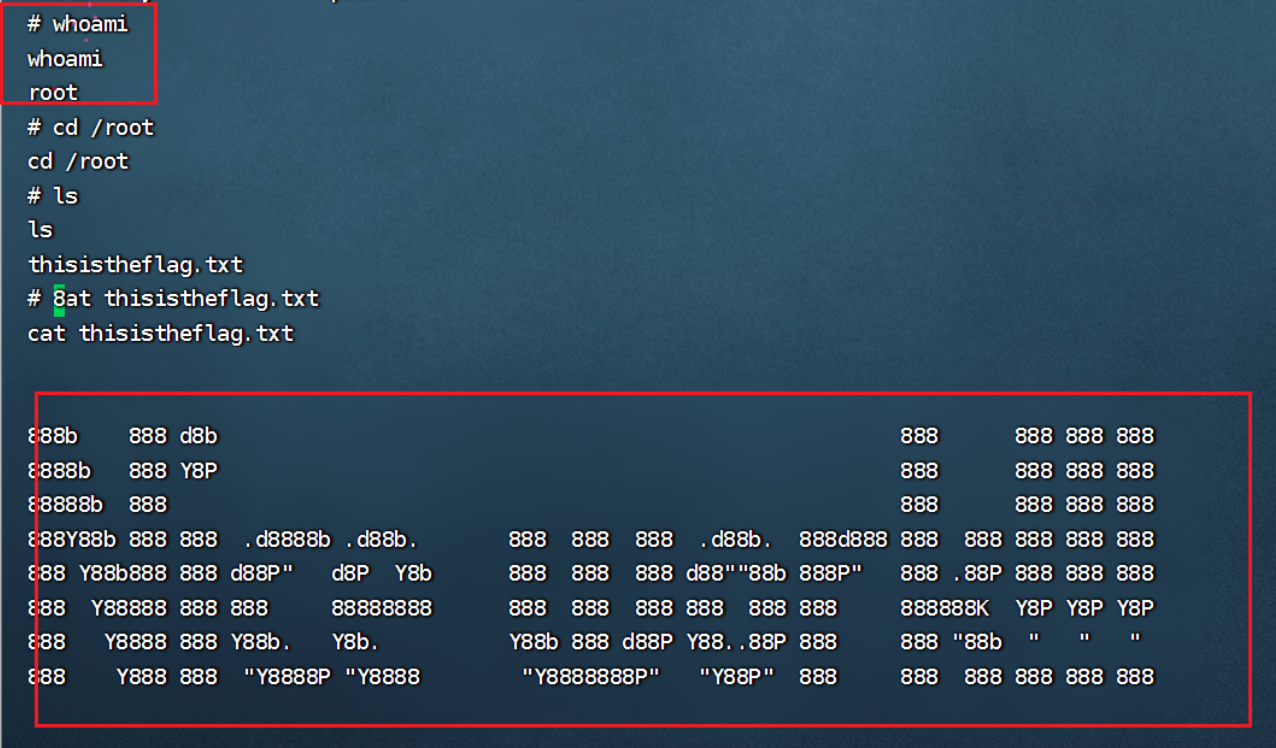 image-20240828170413595