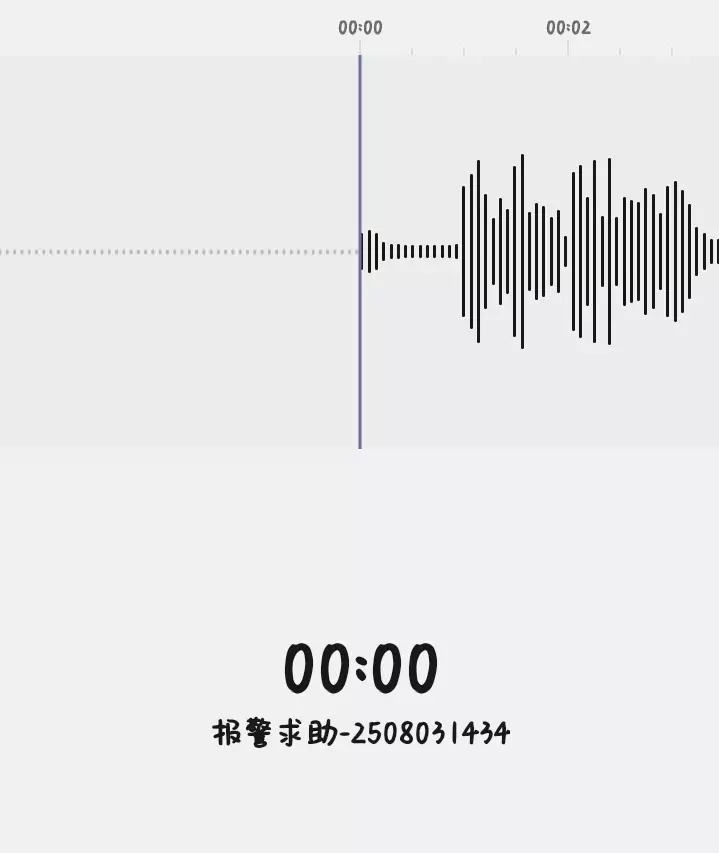 8月3日报警录音