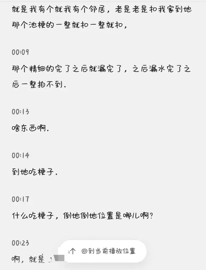 搞笑的语音转文字