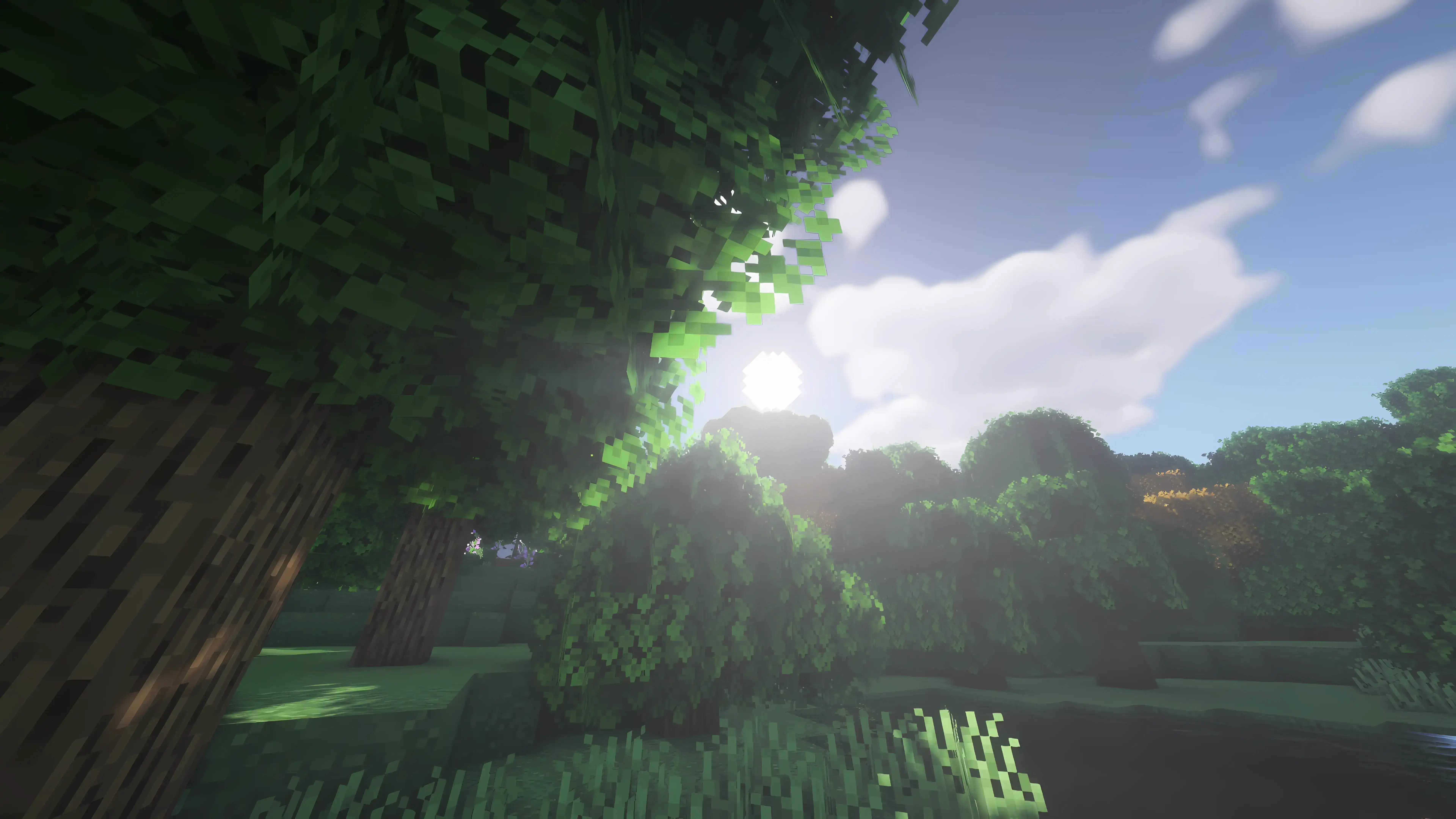 Minecraft