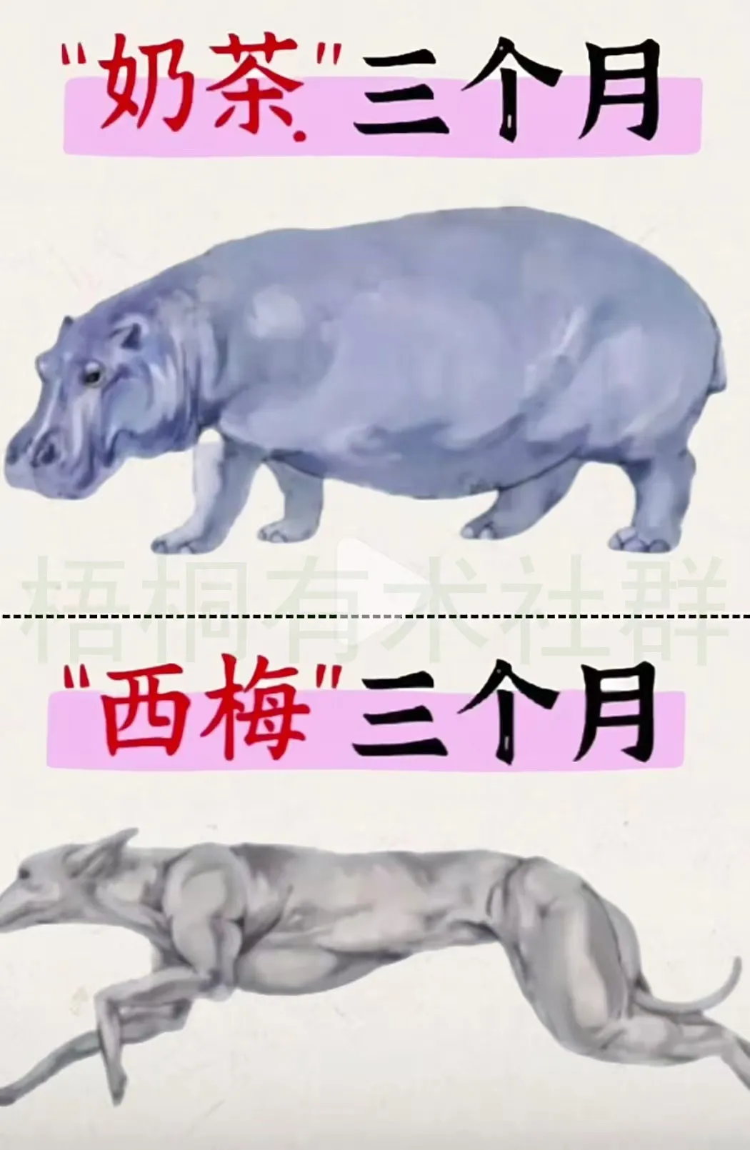 图片[7]创业教父-创业经验分享-副业项目分享-自媒体干货分享-【靠谱】海社长谈项目：某红书最不要脸的赚钱套路，4个人抄出140万创业教父-创业经验分享-副业项目分享-自媒体干货分享-【靠谱】淘金教父