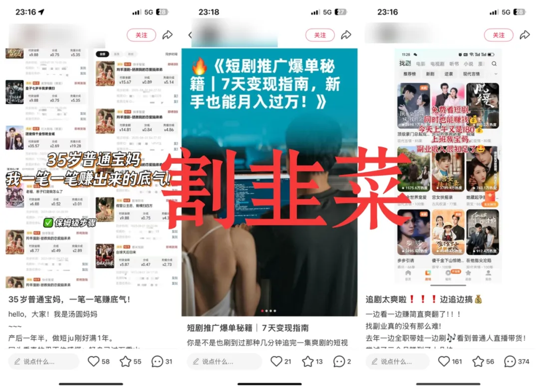 图片[2]创业教父-创业经验分享-副业项目分享-自媒体干货分享-【靠谱】海社长谈项目：最新骗局大曝光！宝妈在家月入过万？这群杂种又他妈出来祸害人了创业教父-创业经验分享-副业项目分享-自媒体干货分享-【靠谱】淘金教父