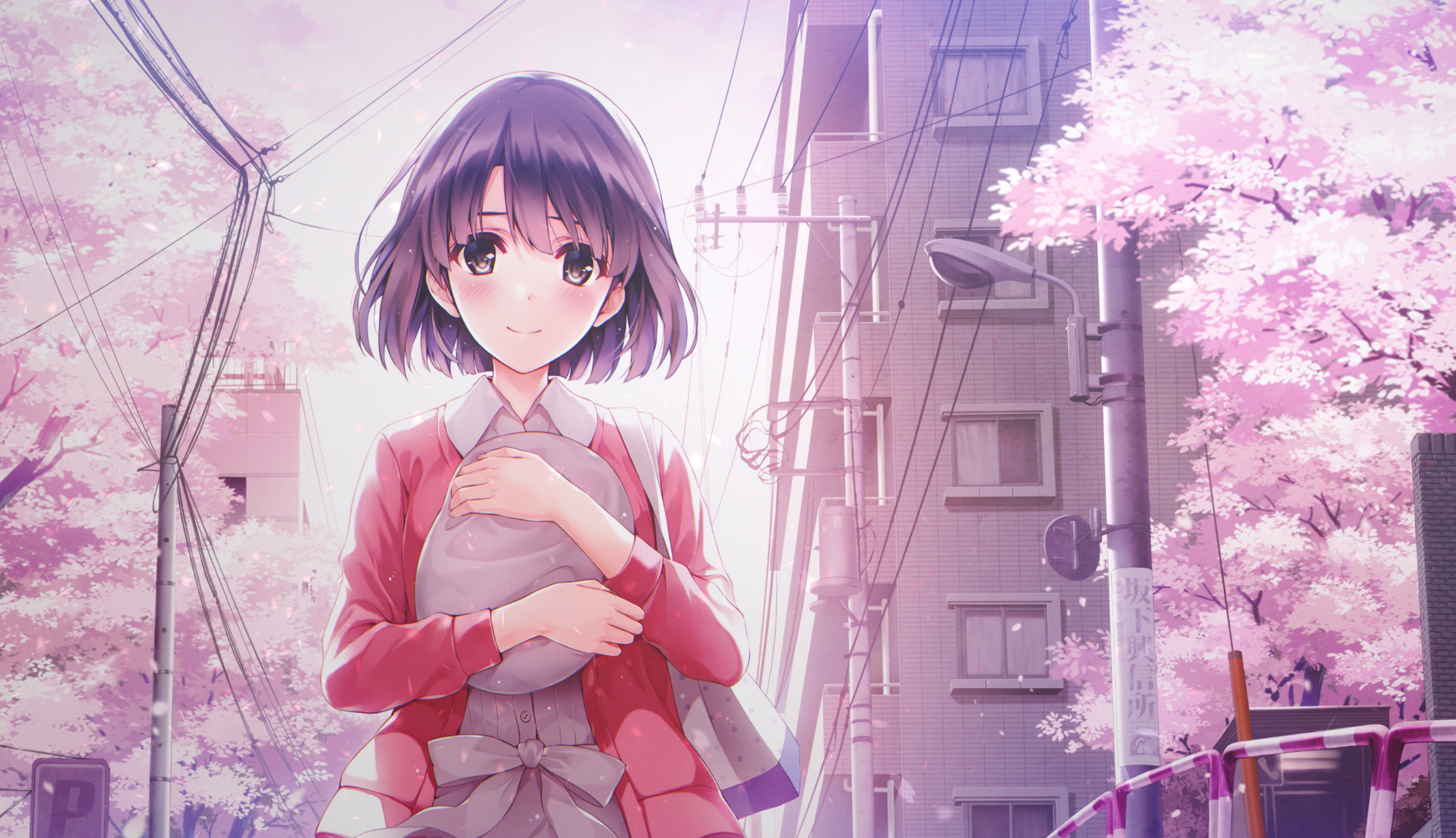 算法与数据结构(1):线性查找法